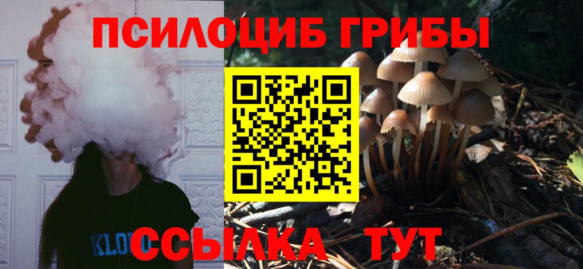 Псилоцибиновые грибы Magic Shrooms  Вход с VPN  хочу наркоту  Керчь  Галлюциногенные грибы мухоморы 